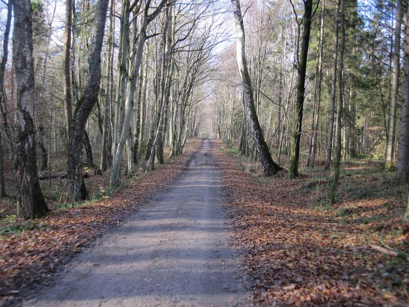 Участок хорошего качества