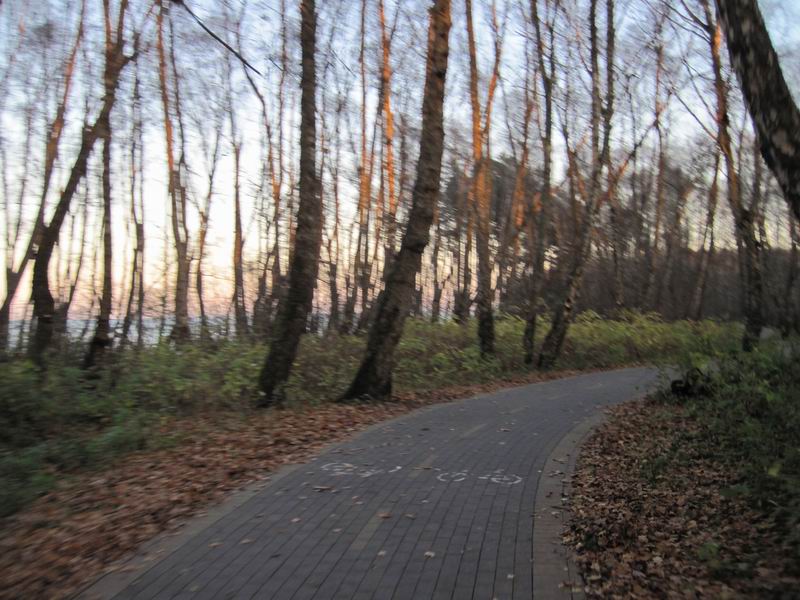 Едем по велодорожке вдоль моря