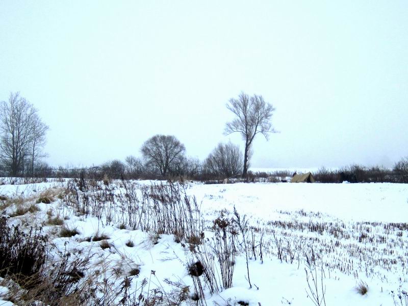 Палатка в поле