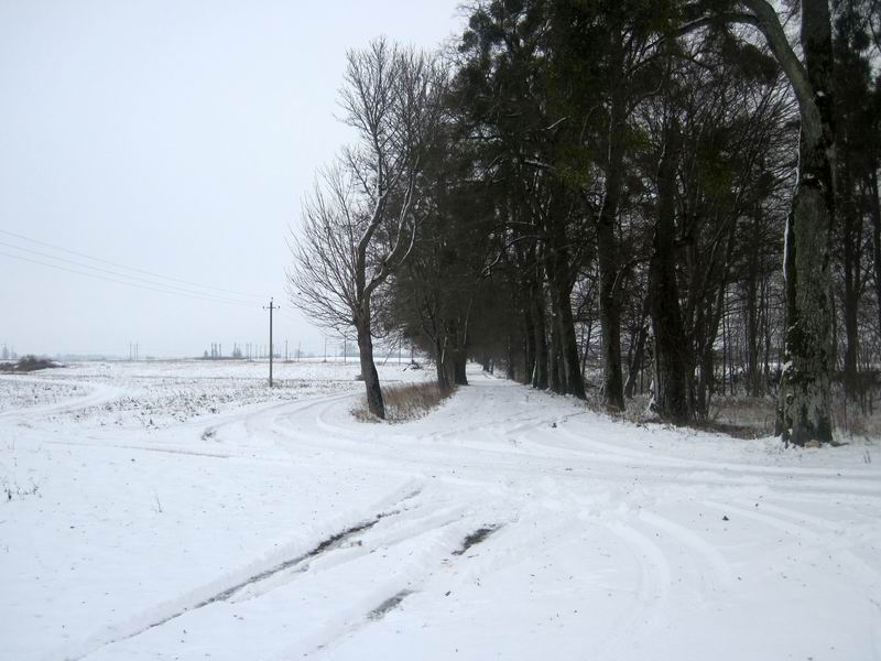 Появилась накатанная колея