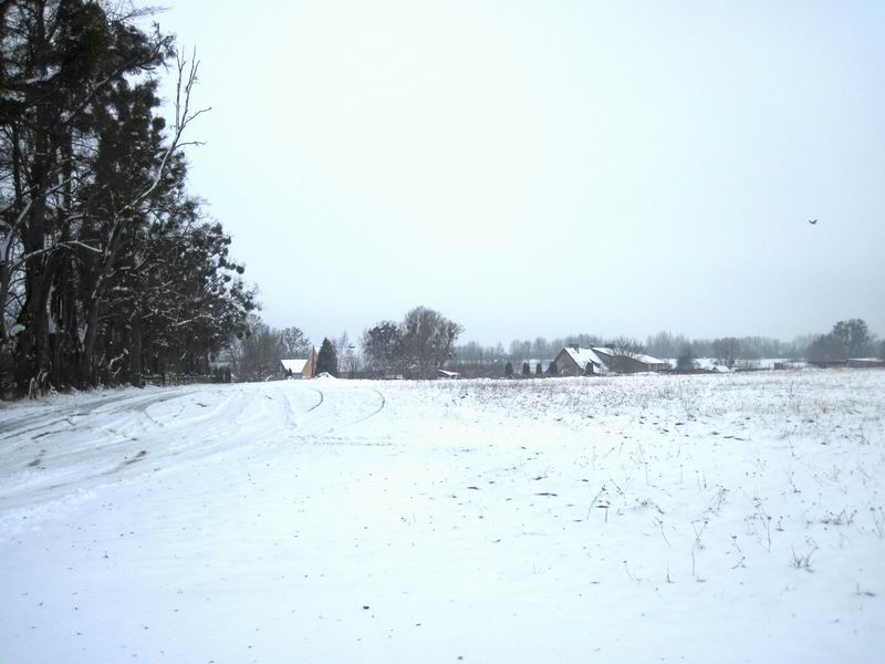 Деревня Малые Горки