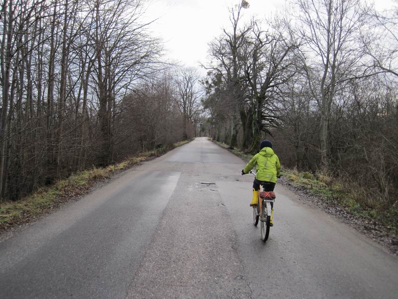 Дамиан Мезенов едет по асфальту