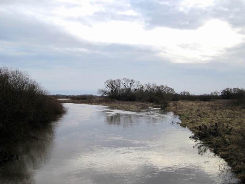 Место впадения Корневки в Прохладную