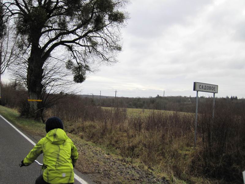 Приехали в Садовое