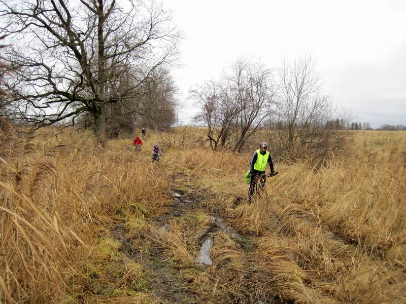 Едем по тропинке