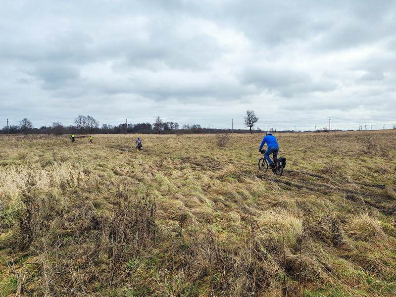 Едем по полю