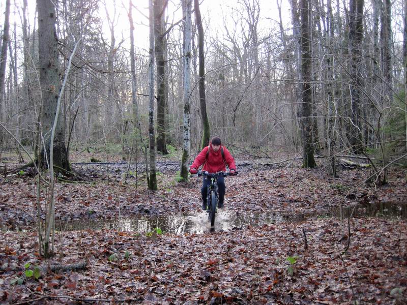Заехали в лес Горелый