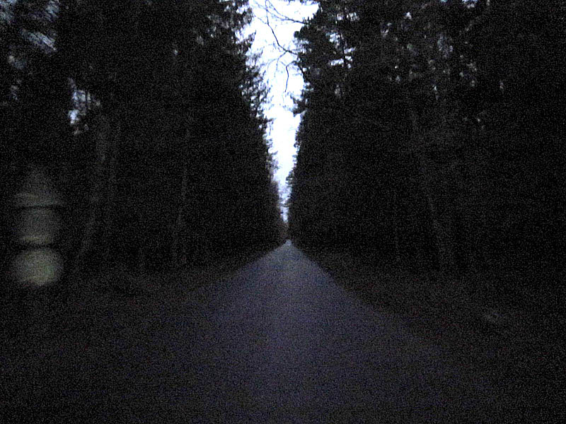 Дорога через Балтийский лес