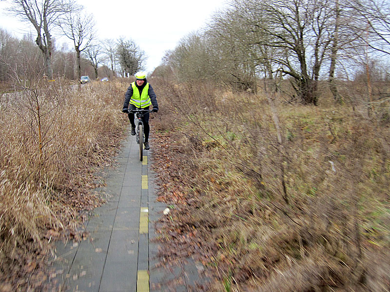 Заросший участок велодорожки