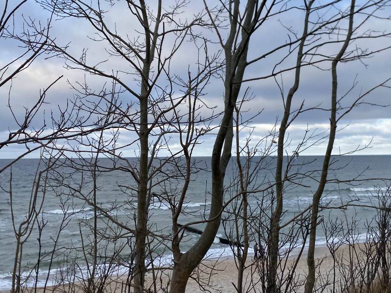 Море из окна велосипеда