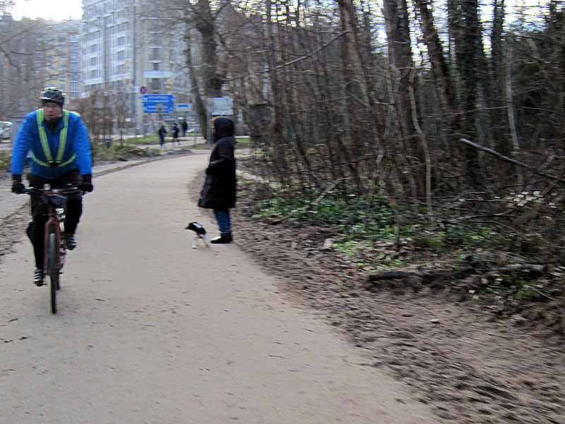 Выезжаем из Зеленоградска по новому участку велодорожки