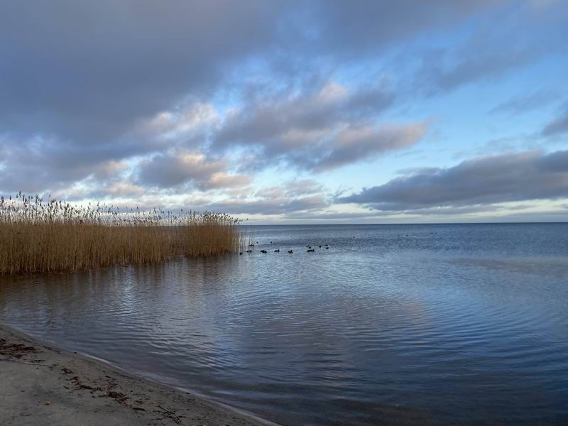 Куршский залив