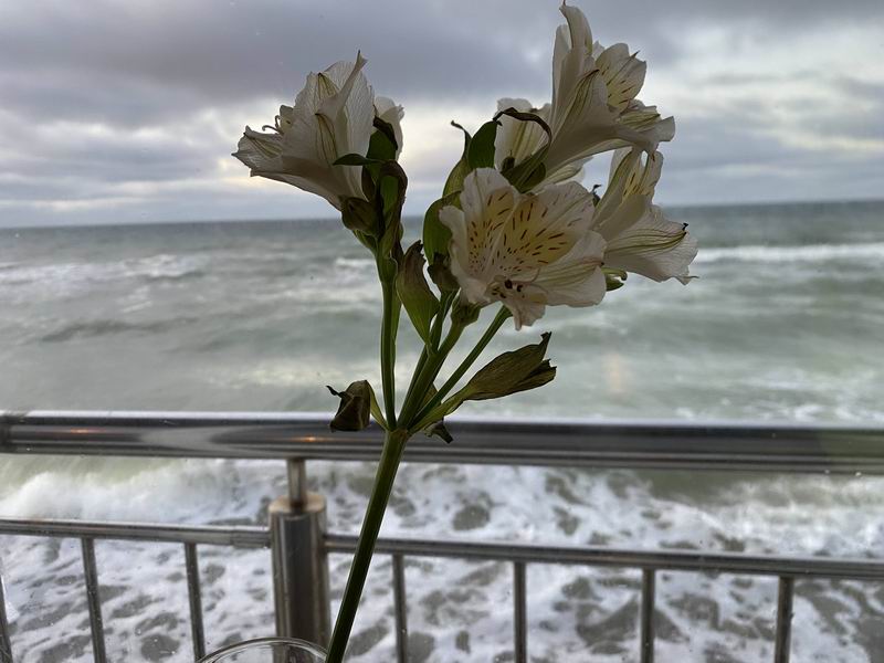 Цветок на фоне моря