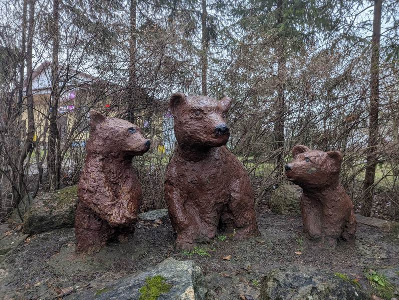 п. Свобода, мишки