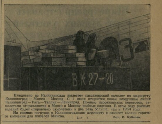 Статья из КП за 1955 год