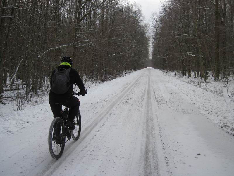 Андрей Вендин едет через лес по асфальтовой дороге