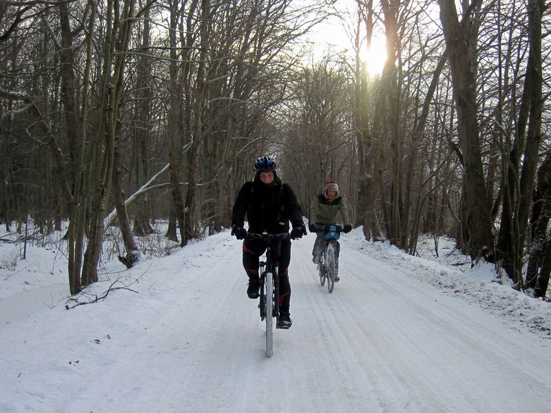 Едем по опушке Дейминского леса