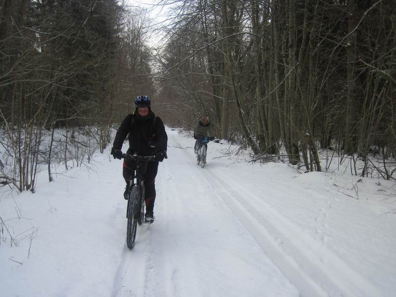 Едем по ней