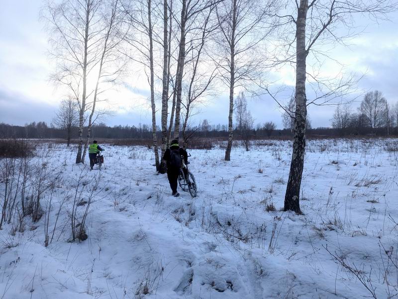 Выходим на большую поляну посреди леса