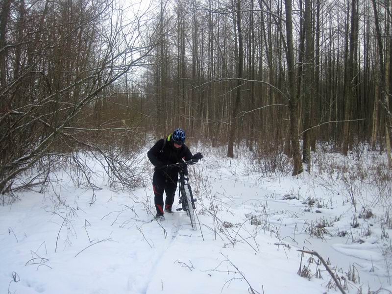 Андрей Вендин в едренях