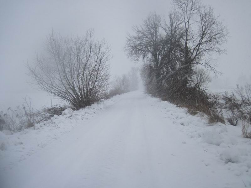 Едем сквозь снегопад