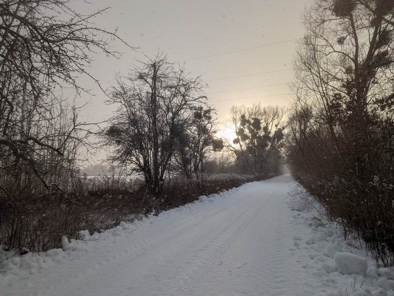 Выглянуло солнце