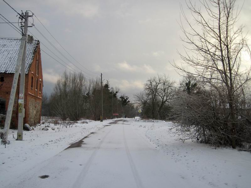 Местами видны проплешины асфальта
