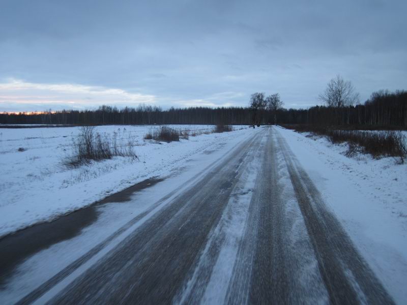 Подъезжаем к лесу Славинская дача