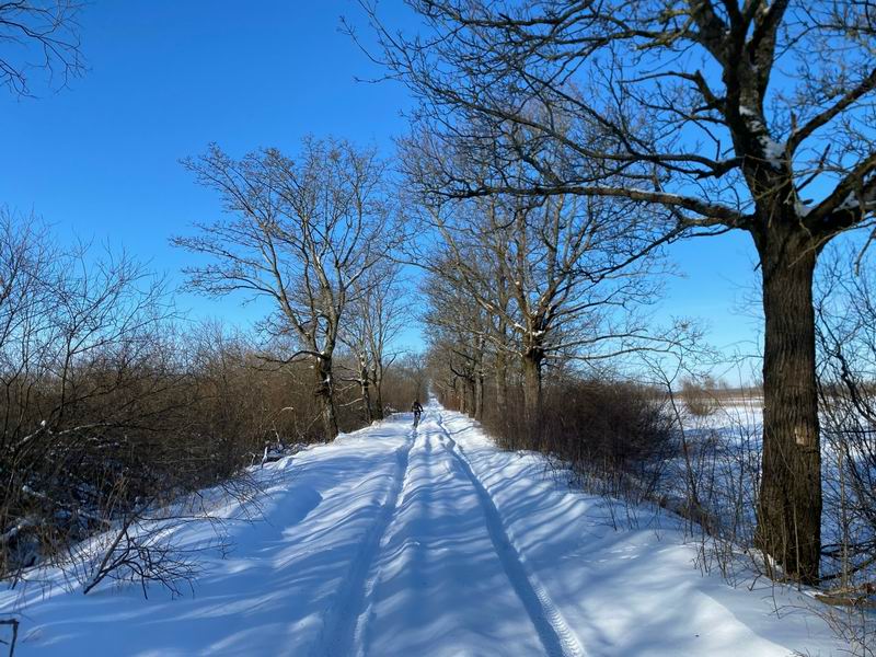 Едем по глубокому снегу