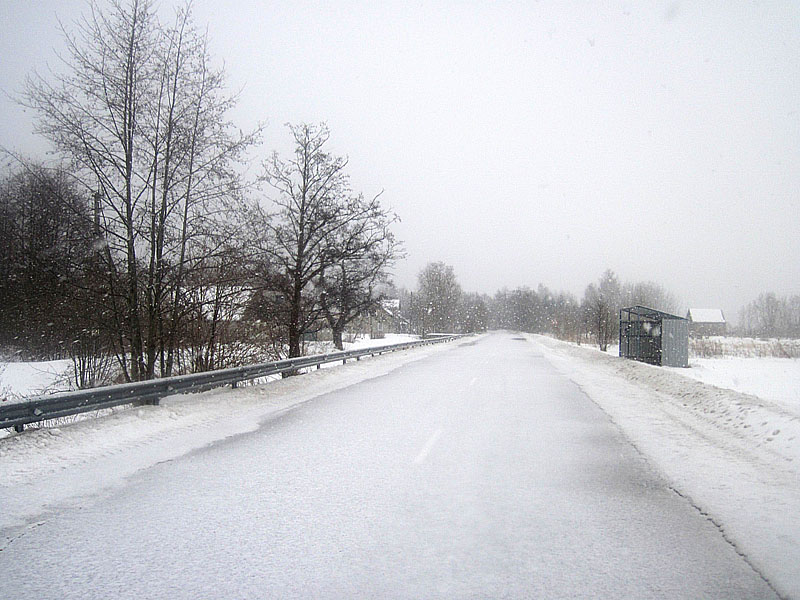 Улица Лесная в Краcном