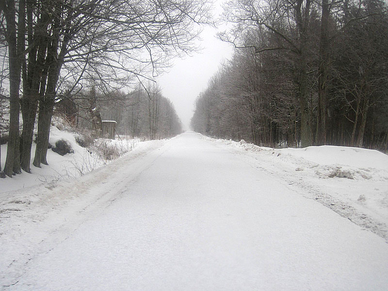 Дорога в Тарасовку