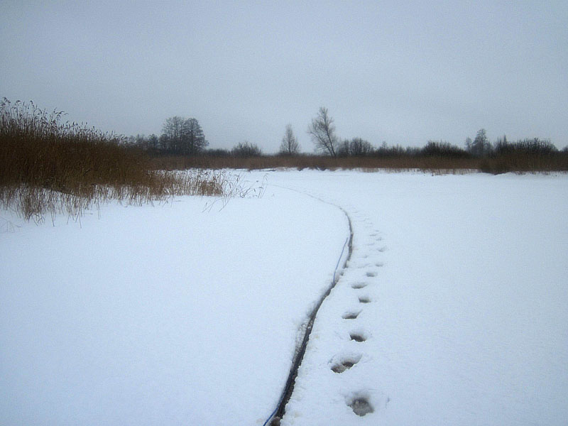 Выбрался на лёд Тимбера и пошёл пешком