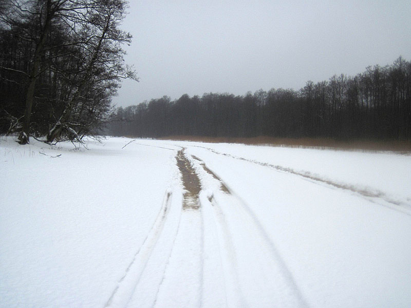 Следы снегоходов на Тимбере