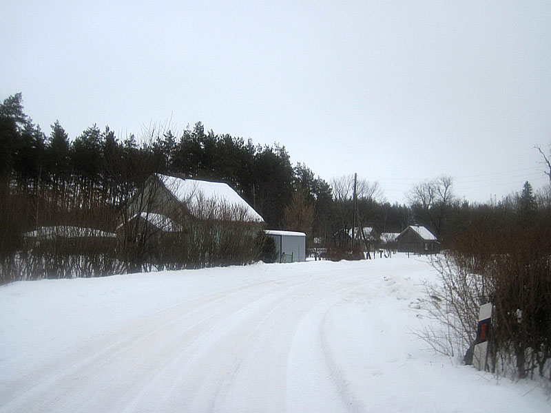 Деревня Сосняки