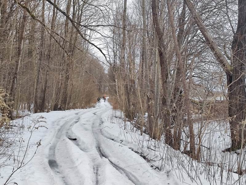 Участники двигаются по заснеженной дороге