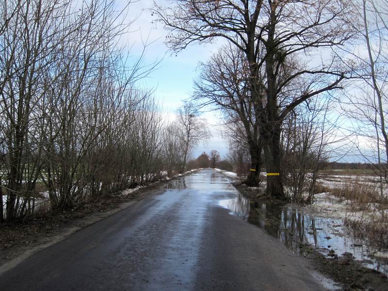 Залитая водой дорога