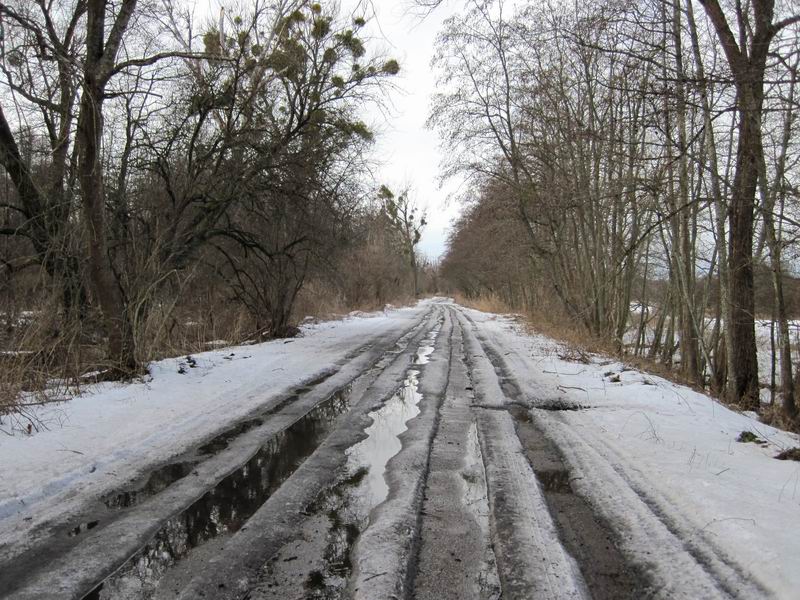 Пропиленные до асфальта колеи