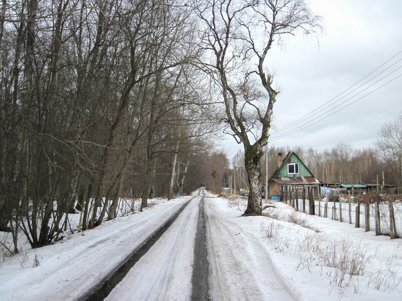 Асфальтовая колея