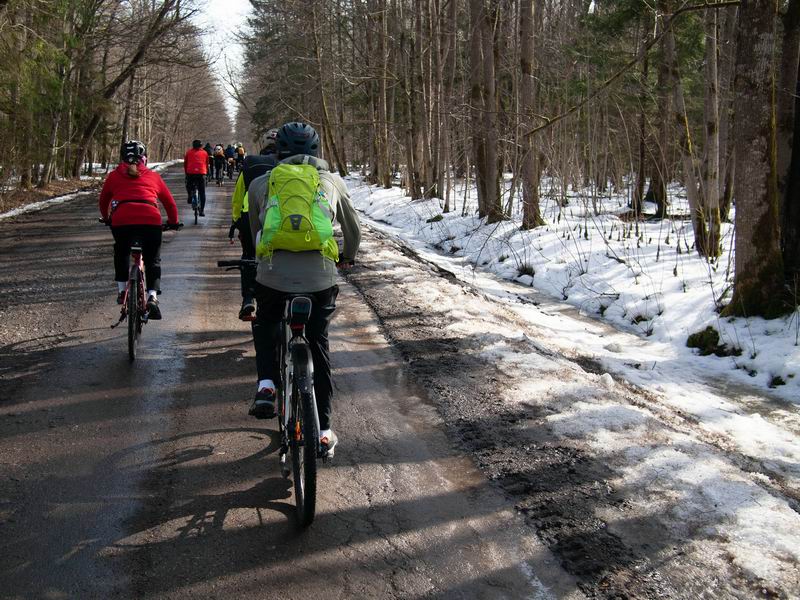 Проезжаем Головенский лес.