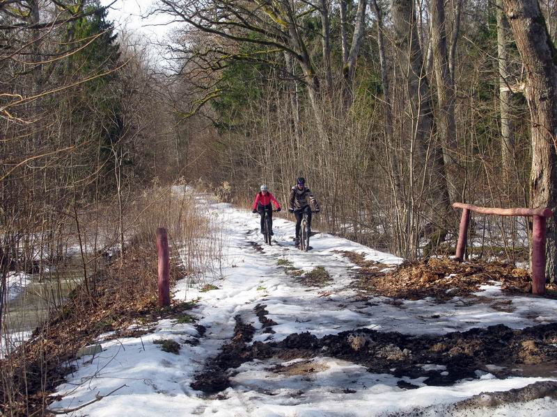 Санитары леса.