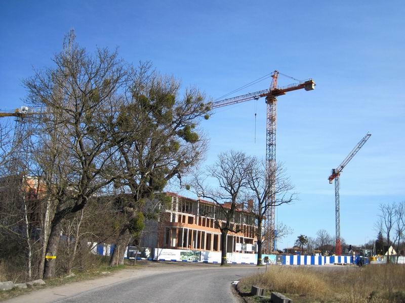 Стройка очередного человейника в Заозерье