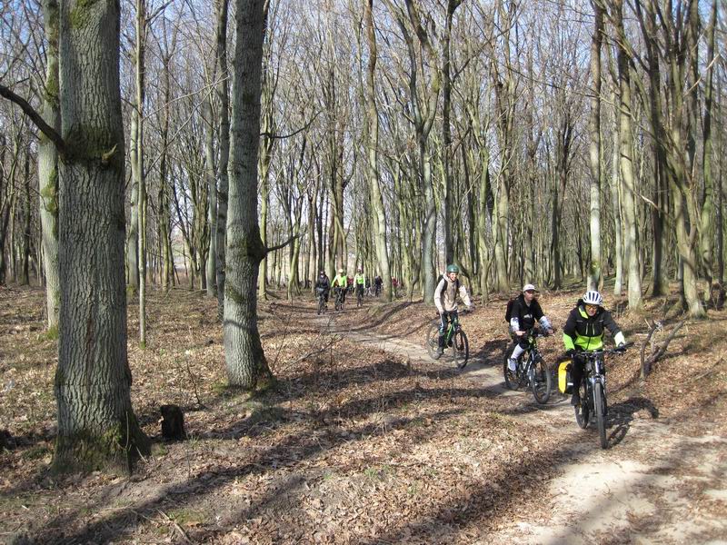 Едем через лес