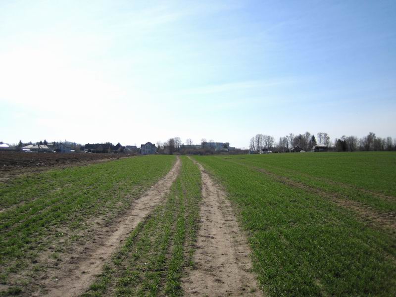 Дорога по полю