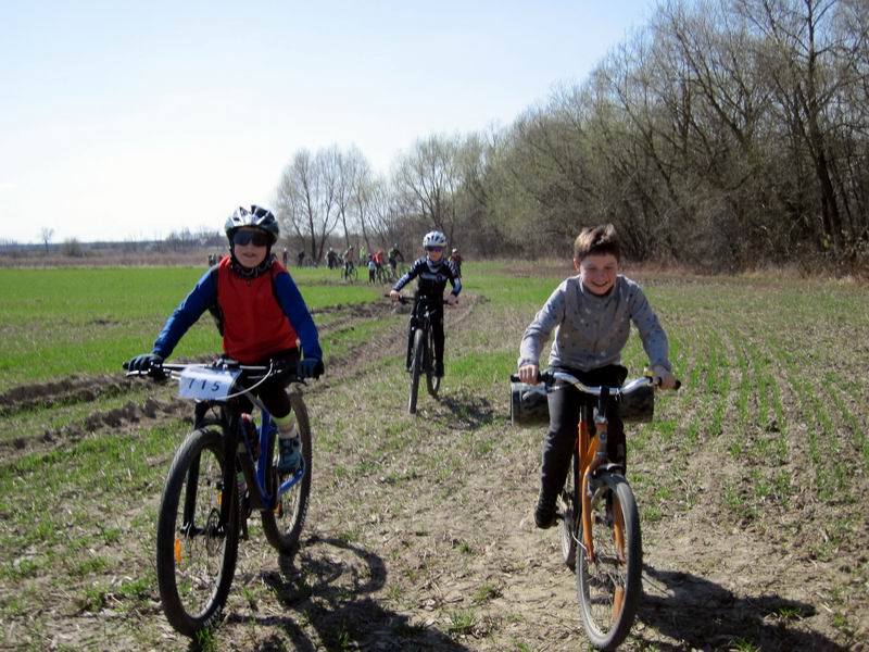 Улица кончилась, началось поле