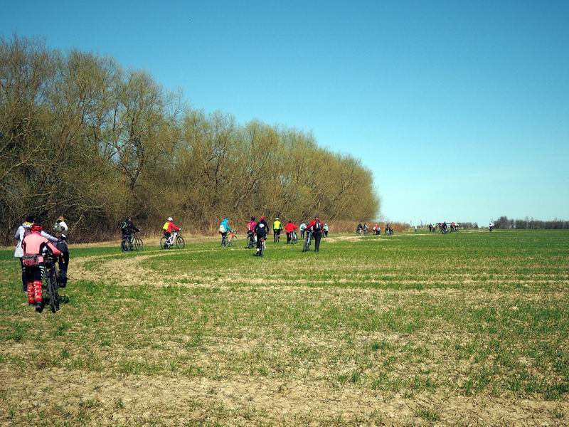 Наш пелотон на поле