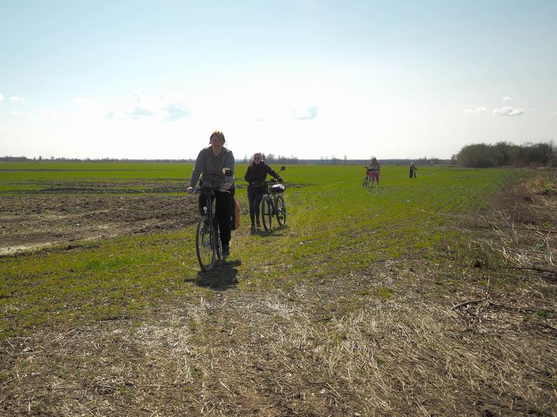 Орг и другие участники