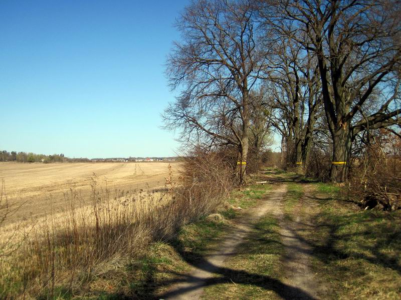 Грунтовка в Доброе