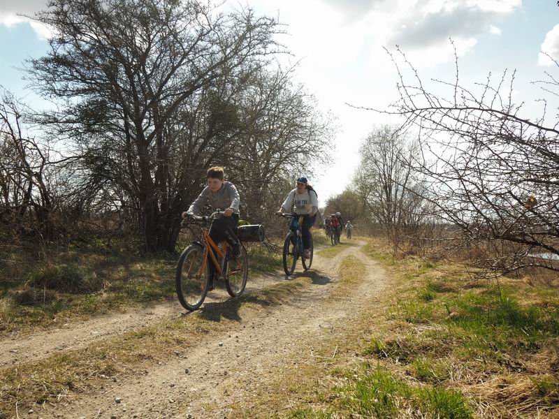 Дамиан Мезенов, Анастасия Гуцу и другие участники