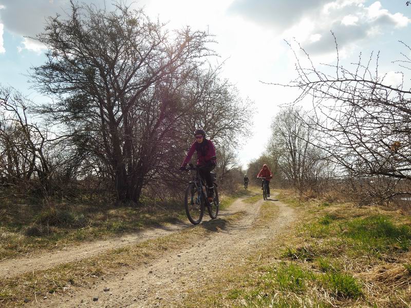 Мария Дмитриева, Ольга Мезенова и ещё один участник
