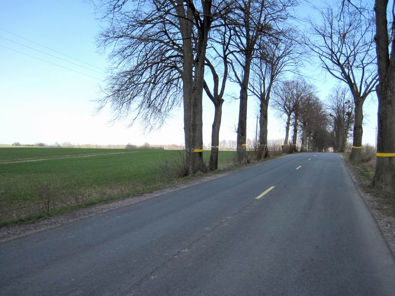 Дорога на Ярославское